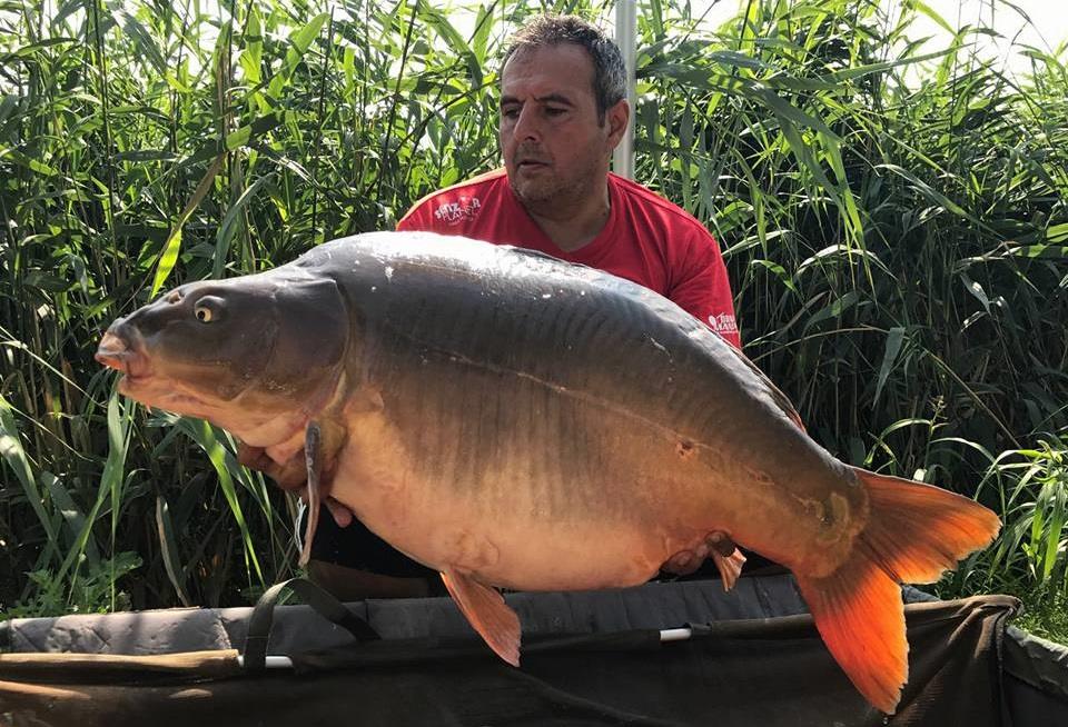 Medie de peste 25 kg la BEST5 pentru George Slave la un concurs din Ungaria.